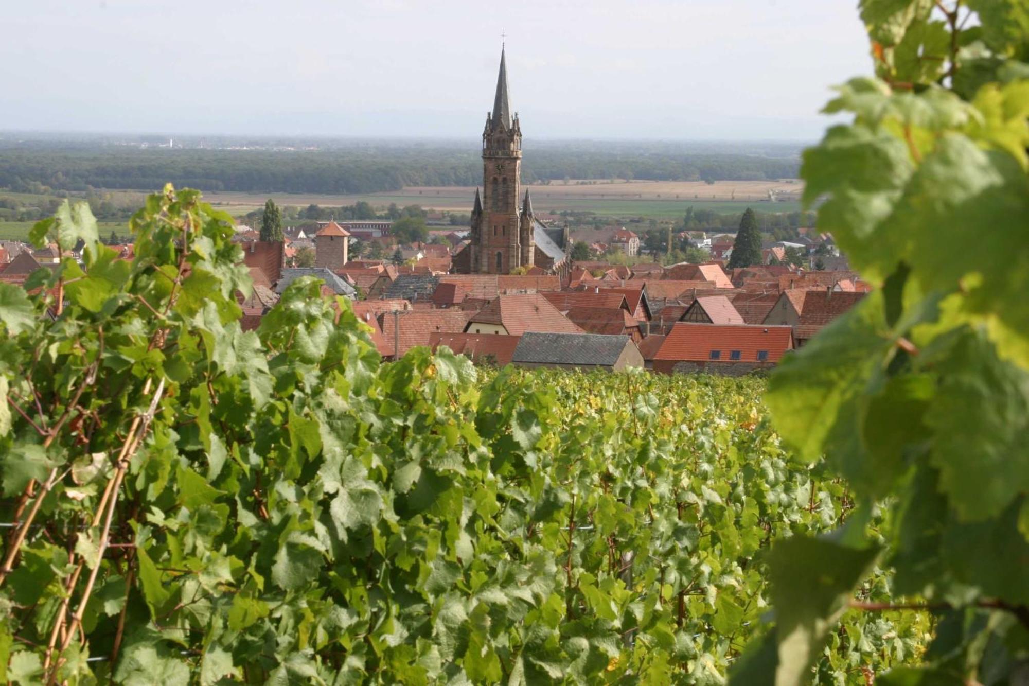 Chambres D'Hotes Ruhlmann Dambach-la-Ville Exterior photo