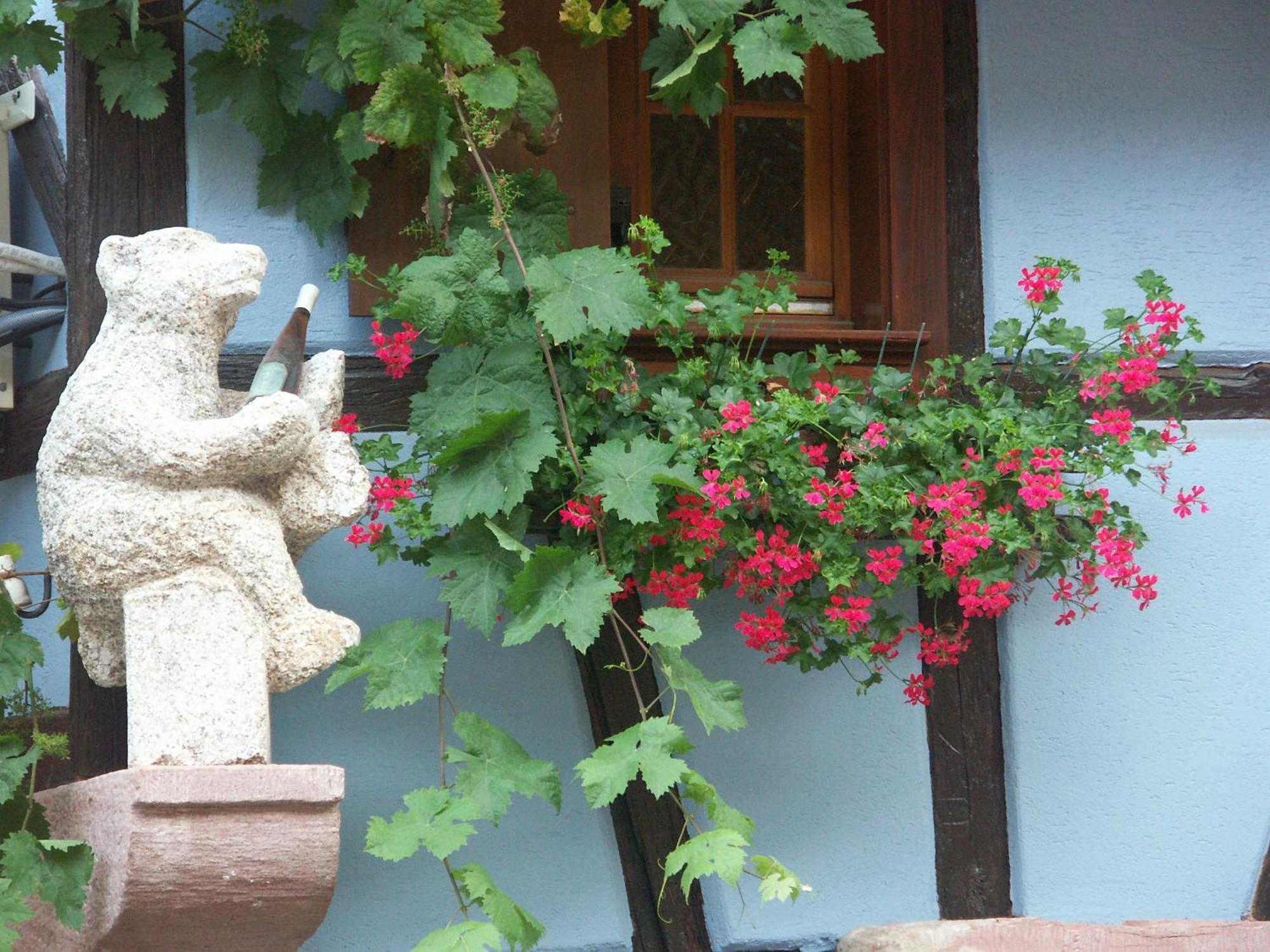 Chambres D'Hotes Ruhlmann Dambach-la-Ville Exterior photo